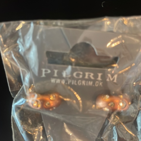 Pilgrim earrings copper - Picture 5 of 5